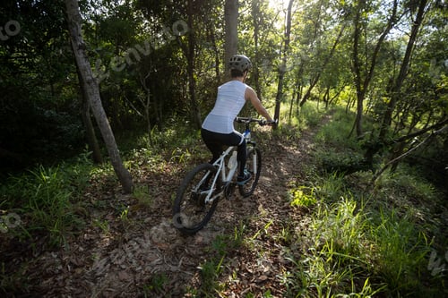 Preview: Mountain biking in summer forest