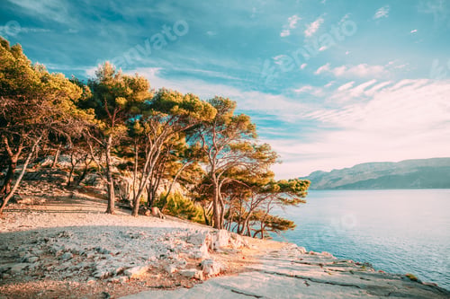 Preview: Cassis, Calanques, France. French Riviera. Beautiful Nature Of Cote De Azur On The Azure Coast Of