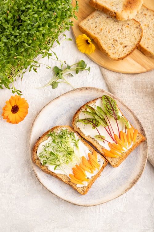 Preview: White bread sandwiches with cream cheese, calendula petals and microgreen on gray concrete backgroun