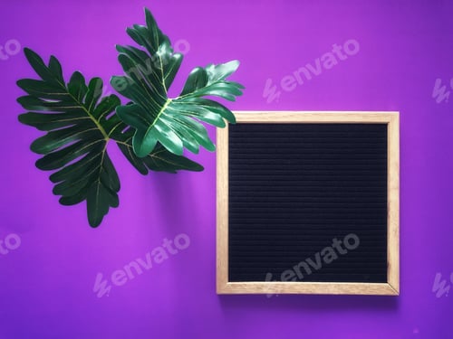 Preview: Purple background