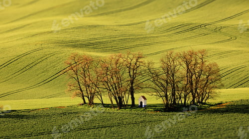 Preview: Landscape of hills covered in farm field crops on a sunny day in Moravia, the Czech Republic