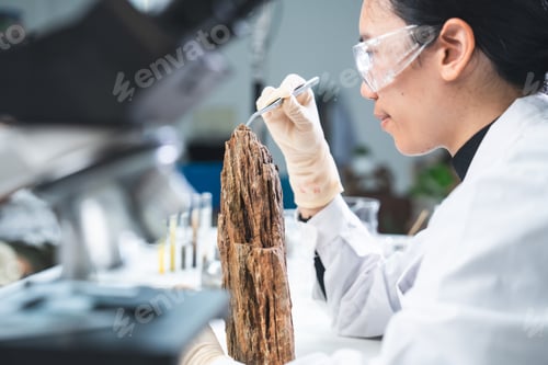 Preview: Geology science laboratory research sample test analysis of nature dirtied ground environment