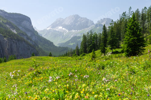 Preview: Panoramic view of green alpine meadows and mountains