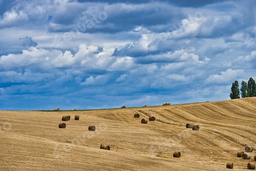 Preview: Field with Hay Rolls
