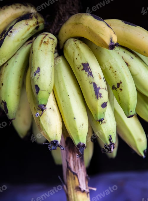 Preview: Green bananas