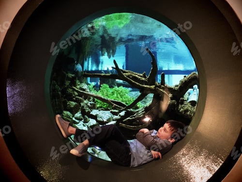 Preview: At the aquarium chilling out