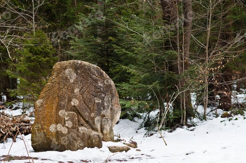 Preview: Ancient large stones with engraving at green forest with little snow cover in Carpathians mountains.