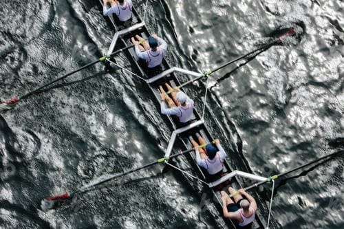 Preview: Overhead view of female crew racers rowing in an octuple racing shell, an eights team.