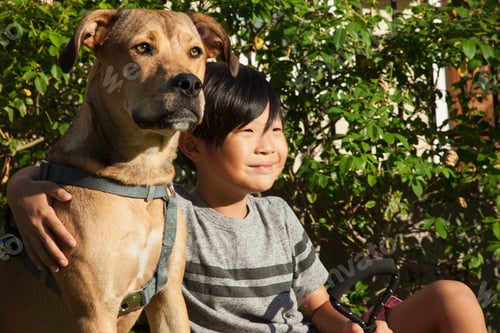 Preview: Portrait of boy with arm around dog in garden