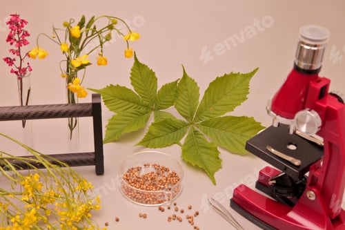 Preview: Botany. Microscope, stand with test tubes, glass slide, plants for study.