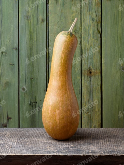 Preview: Butternut Squash or Butternut Pumpkin