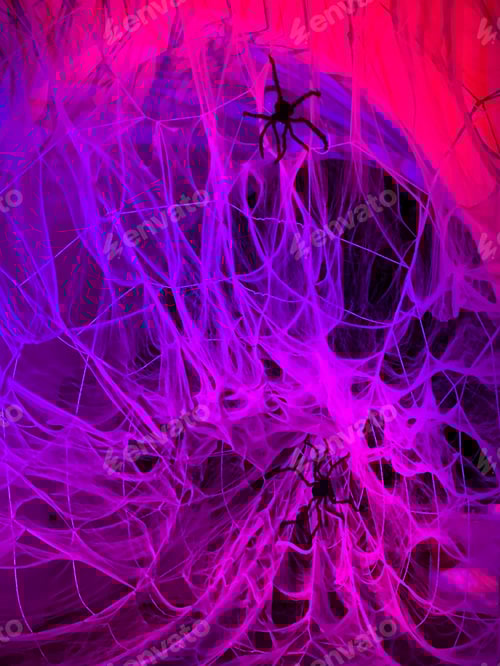 Preview: Spiders in a neon purple spider web that caused haunted nightmares at halloweeen