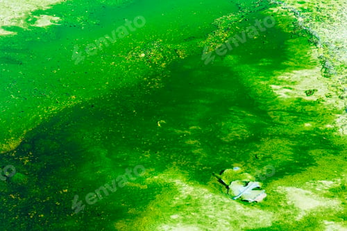 Preview: Green surface of mineral river
