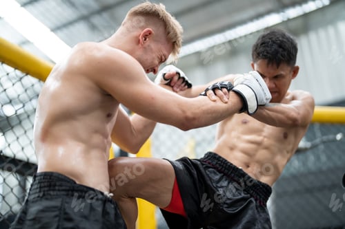 Preview: Focused fighter delivering a blow to the body