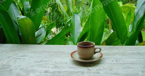 Preview: Cup of coffee on wooden table green lush nature background. Outdoor cinematic static footage.