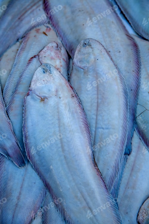 Preview: Fresh fish