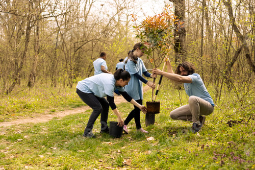 Preview: Volunteers and a child planting a tree and covering hole in the ground