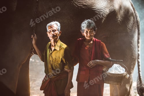 Preview: Elephant and senior couple in Thailand