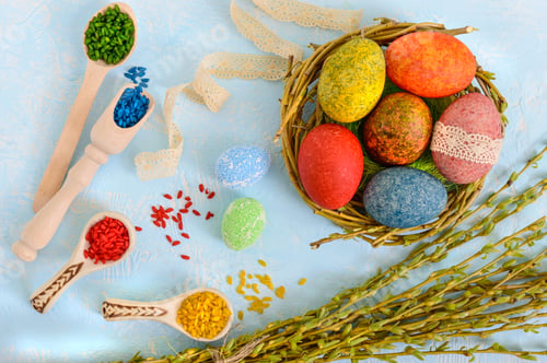 Preview: Colorful painted eggs in a nest of twigs of willow on a light background