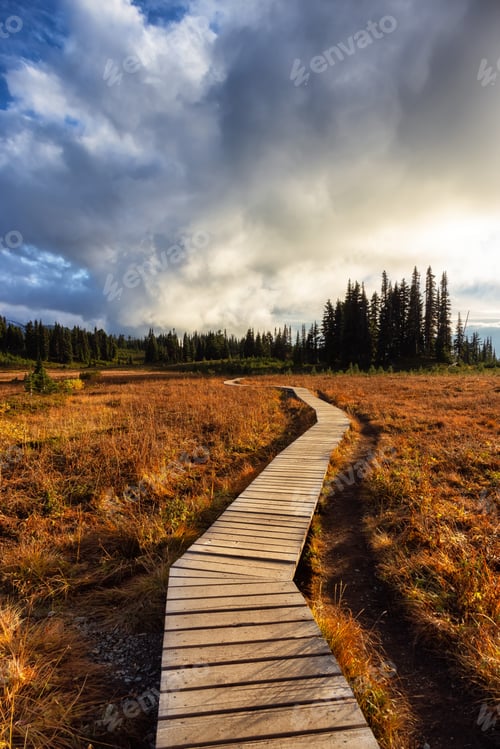 Preview: Hiking trail outdoors in Canadian nature