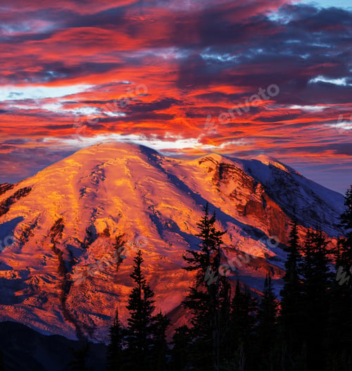 Preview: Mt.Rainier