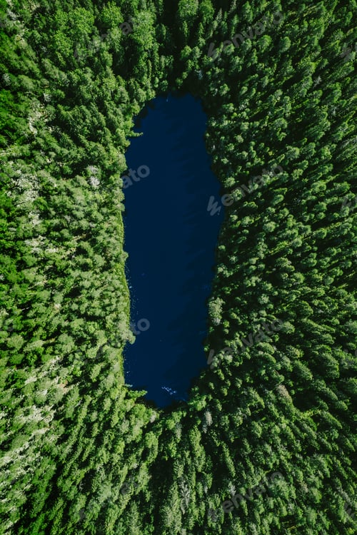 Preview: Aerial view of green wild forest and deep blue lake in Finland