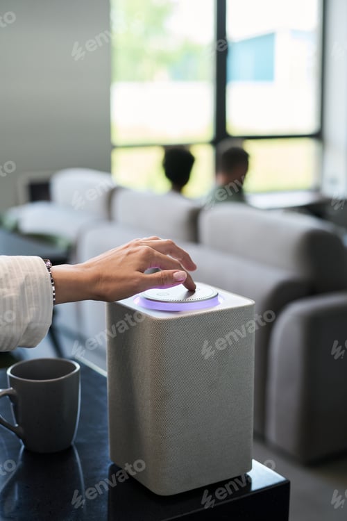 Preview: Adjusting Smart Speaker in Modern Living Room