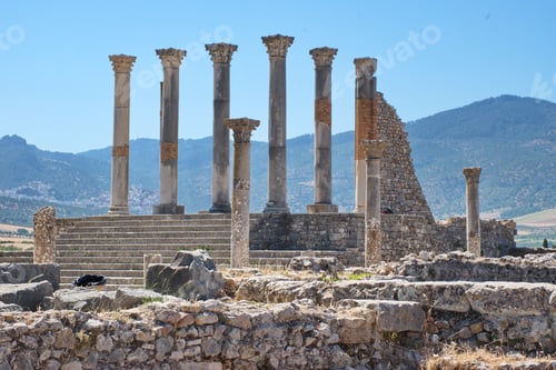 Preview: Roman ruins in Volubilis, Morocco