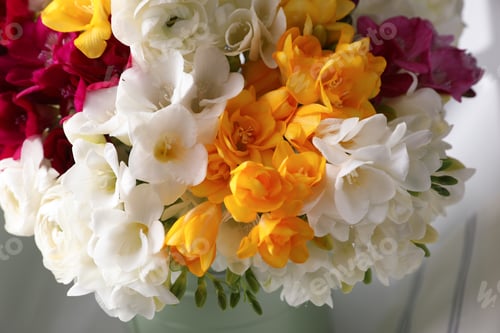 Preview: Beautiful bouquet with fresh freesia flowers on light background, closeup