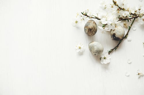 Preview: Happy Easter! Stylish easter eggs and cherry blossom on rustic white table flat lay