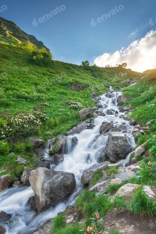 Preview: Spring rill flow in mountain.