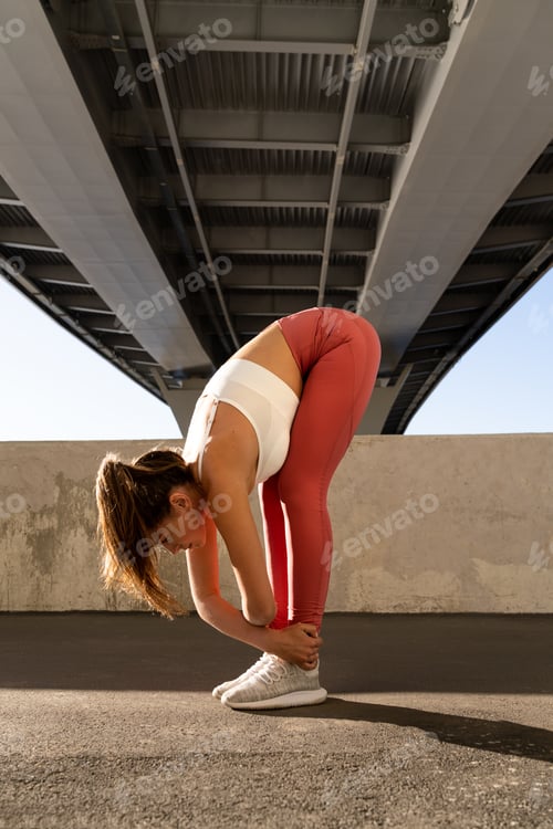 Preview: bridge