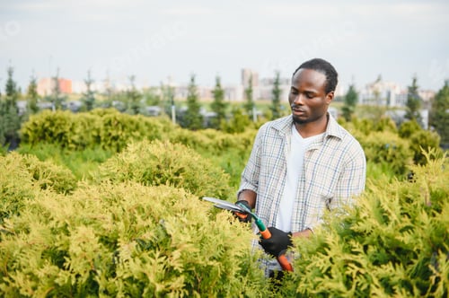 Preview: A african american young gardener cuts a tree with scissors. Gardening and tree shop concept