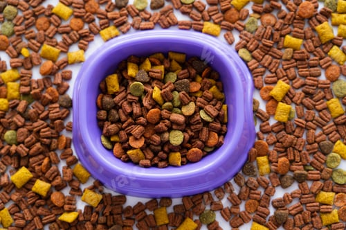 Preview: top view of pet dry food around purple bowl