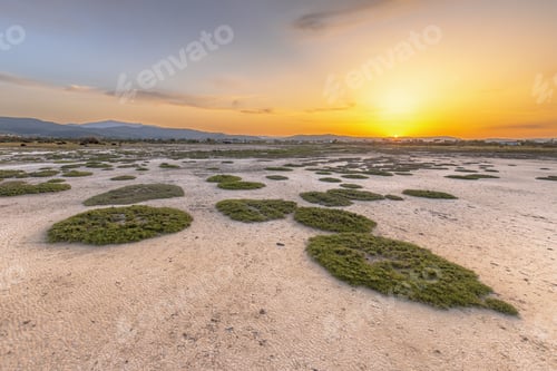 Preview: Kalloni Estuary sunrise Lesbos