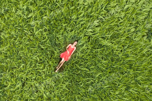 Preview: View from above of young attractive slim woman in red dress