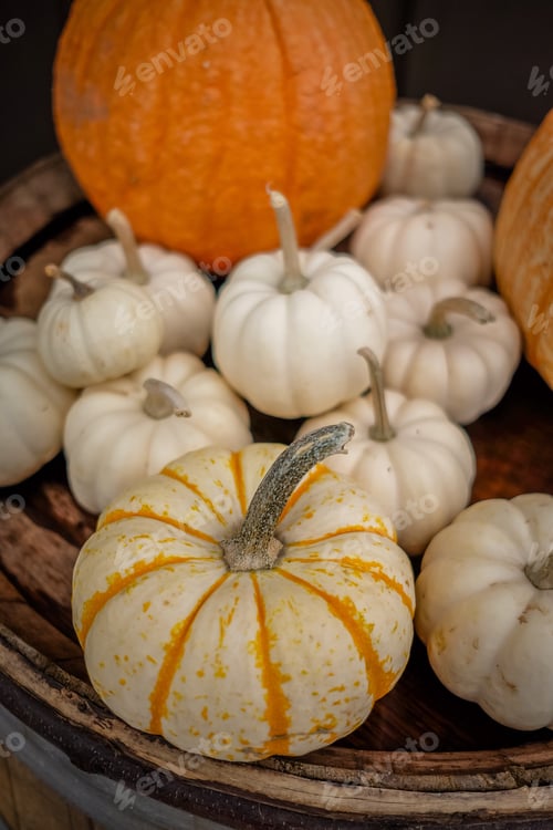 Preview: Pretty pumpkins