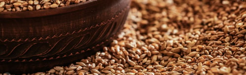 Preview: Horizontal Background A grain of wheat in a clay bowl