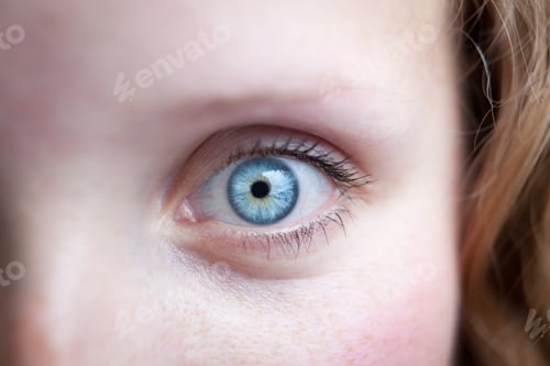Preview: Close-up of a beautiful female blue eye