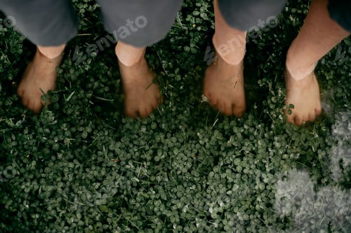 Preview: A Very Rainy Day