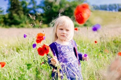 Preview: Girl holding poppy flowers at grassy field