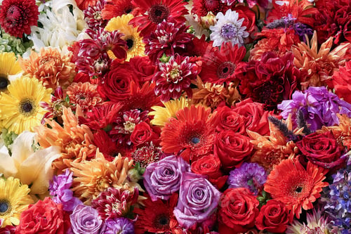 Preview: Colorful flowers background. Mothers day, Valentines Day, Birthday concept.