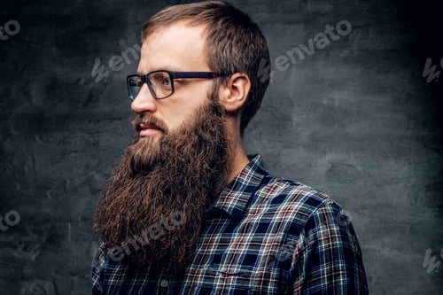 Preview: A bearded male in sunglasses dressed in a plaid shirt.