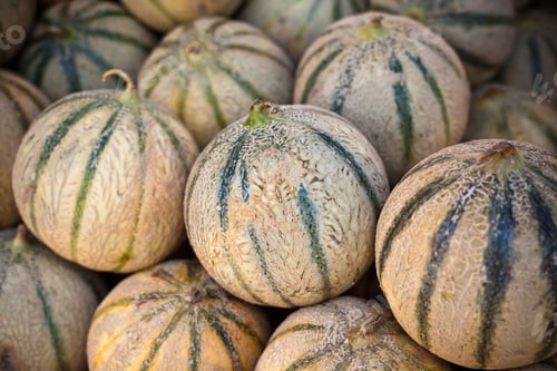Preview: Ripe fresh melons pile in a farmers market