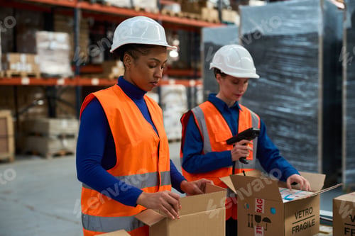 Preview: Female workers packing shipping boxes in warehouse
