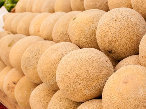Preview: Cantaloupe
