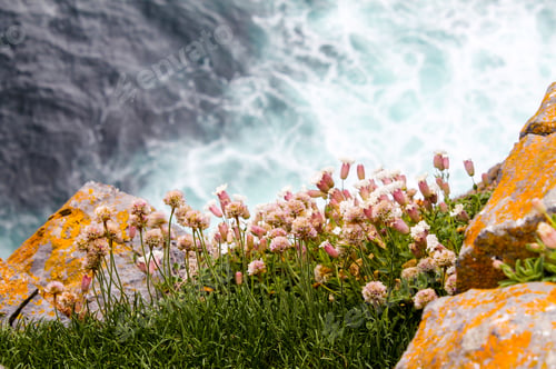 Preview: Low-angle shot of beautiful rocks in Aran Island, Ireland