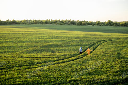Preview: Aerial view on green wheat field with couple walking on pathway