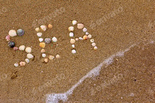 Preview: Sand sea coast with inscription "sea" made by shells. Concept of vacation, travel, summer, nature.