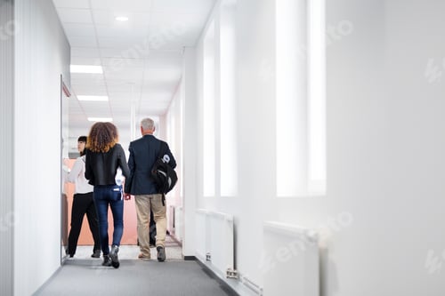 Preview: Colleagues walking through the office hallway in conversation